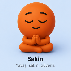 Sakin mood